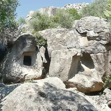 Casa Frailis Lejlighed Àrbatax